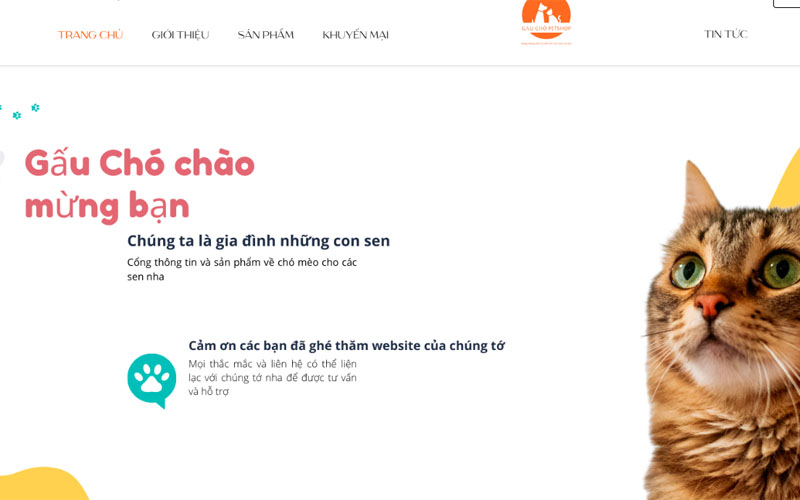 Bạn có thể mua súp thưởng cho mèo ở Gấu Chó Petshop